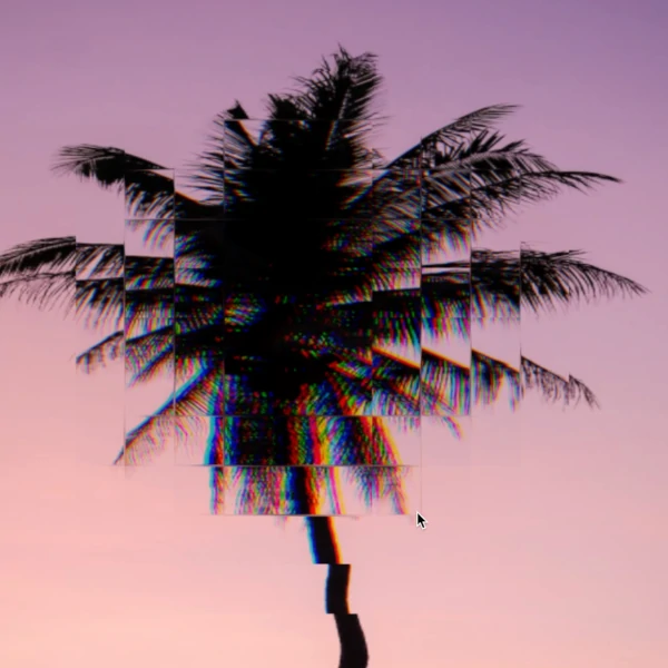distorted palm tree
