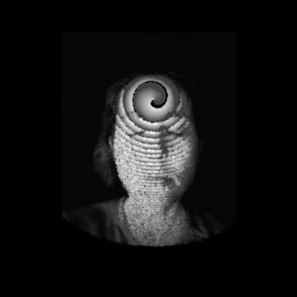 portrait of a woman distorted by an spiral