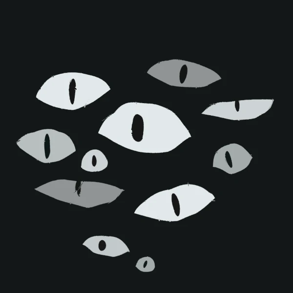 eyes in the dark