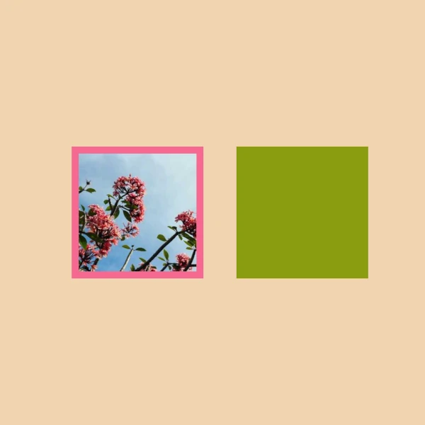 two squares, one has a picture of flowers