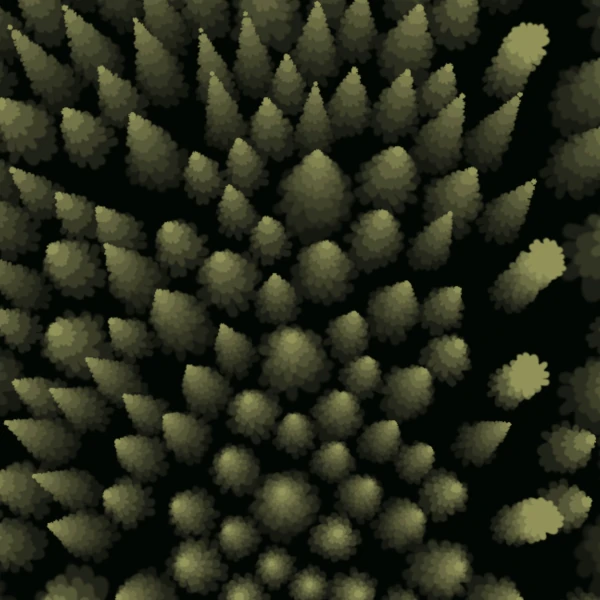 Illustration of trees seeing from above