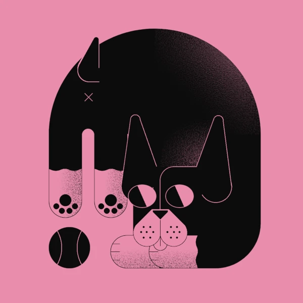 drawing of a dog over a pink background