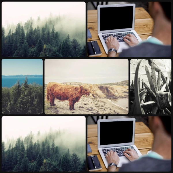 A grid with random images