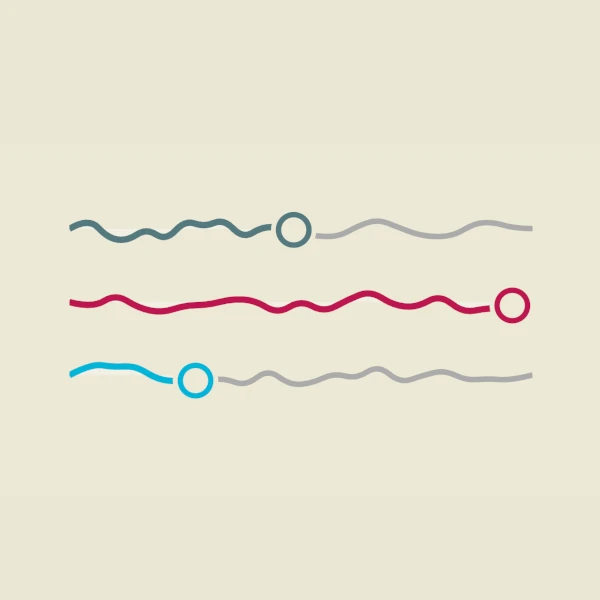Wiggly range slider