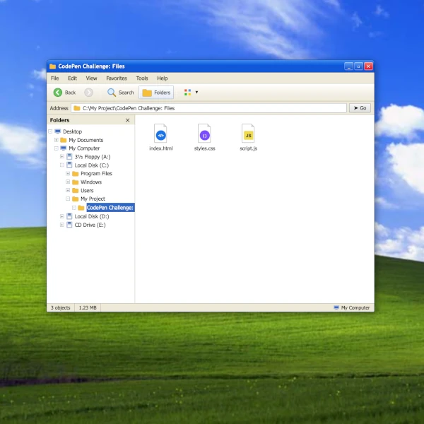 Screenshot of what looks like a Windows XP window with 3 files